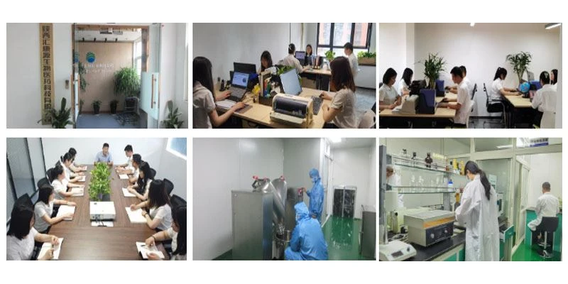 Persimmon Leaf Extract Powder6 Persimmon Leaf Extract Powder6