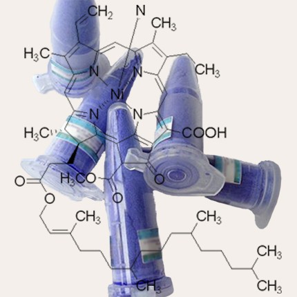 Phycocyanin Molecular Formula