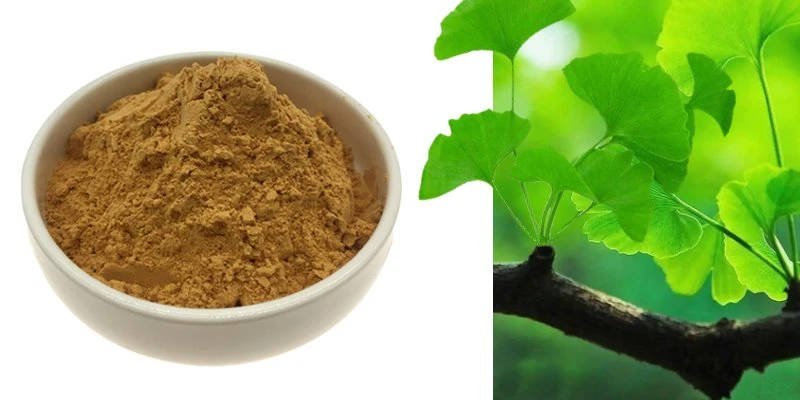 Ginkgo biloba extract Ginkgo biloba extract