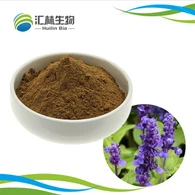 Salvia kivonat por